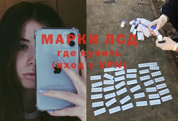 гашик Липки