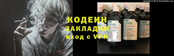 молекула духа Лабытнанги