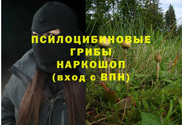 молекула духа Лабытнанги