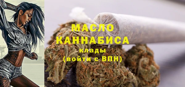 молекула духа Лабытнанги