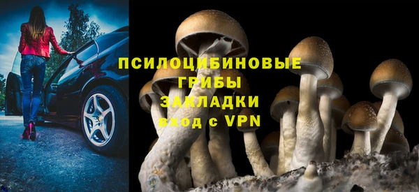 молекула духа Лабытнанги